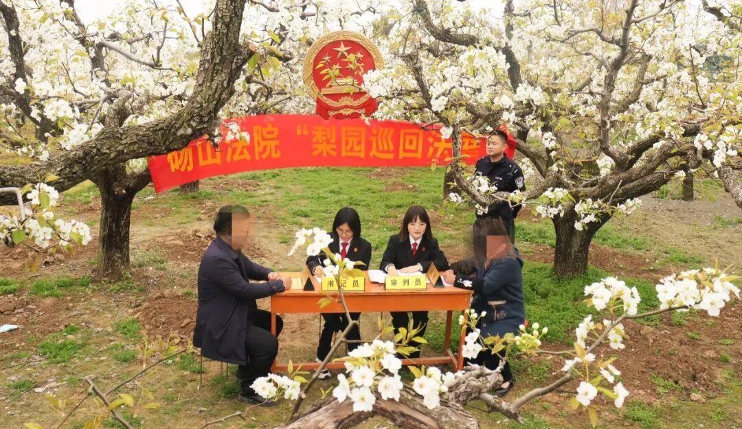 宿州法院：奏响新乐章 绘就好“枫”景